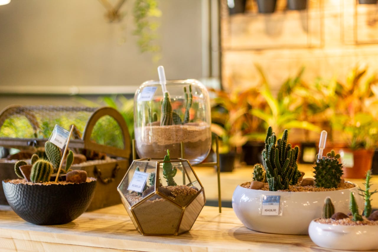 Benefícios da jardinagem para a saúde mental do relacionamento