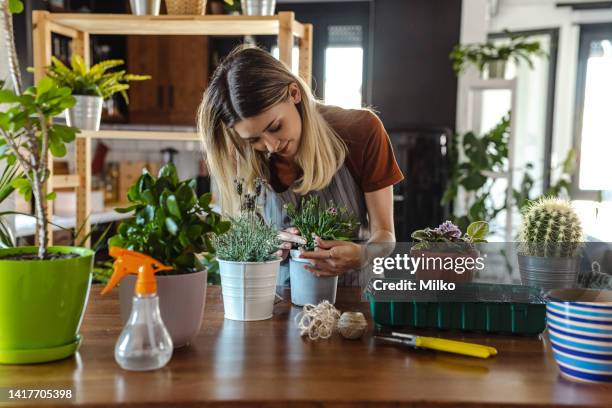Como criar um cantinho de café/vinho no jardim