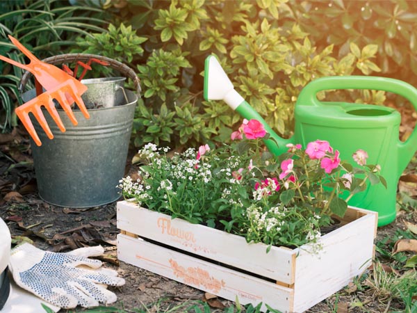 jardinagem como hobby para casais