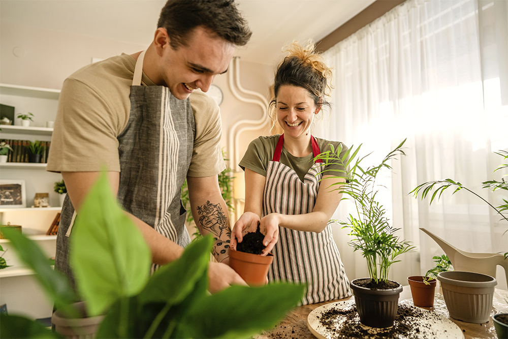 jardinagem como hobby para casais