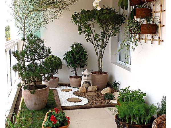melhores plantas para jardins verticais em apartamentos