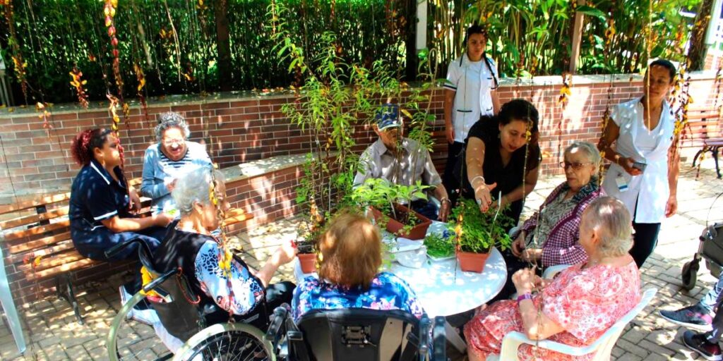 5 Ferramentas de Jardinagem Ergonômicas Essenciais para Idosos