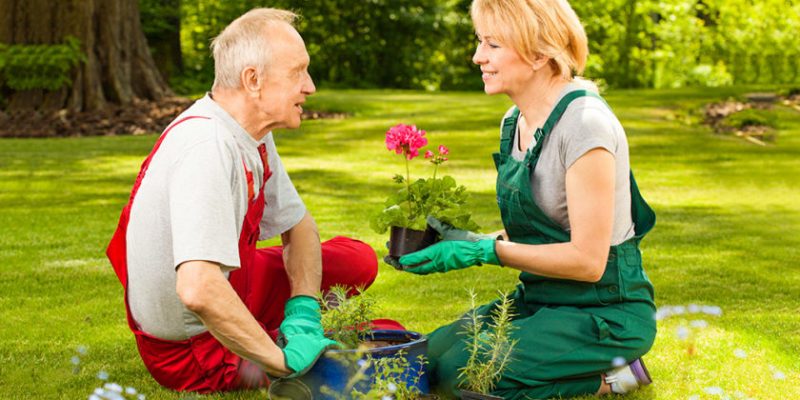 Como Montar um Canteiro Elevado Simples para a Terceira Idade