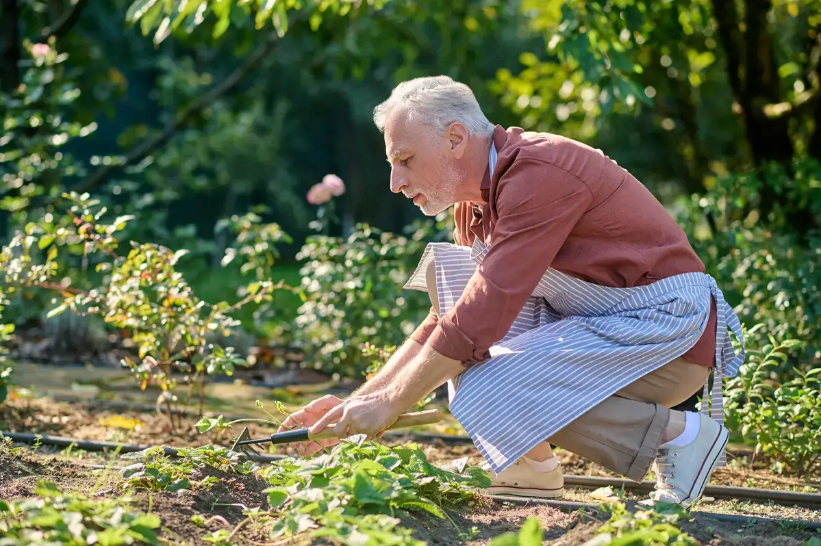 Dicas de Segurança na Jardinagem para Prevenir Quedas em Idosos