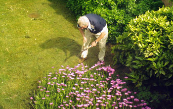 jardinagem para a terceira idade