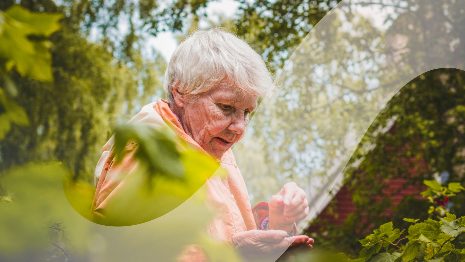 Como Montar um Canteiro Elevado Simples para a Terceira Idade