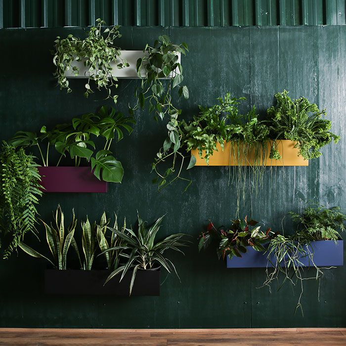 Jardineira de parede com suporte