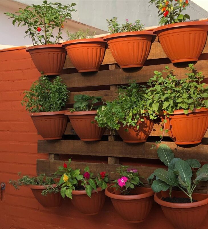 Jardineira de parede para temperos