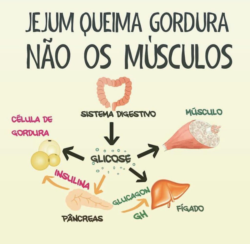 Adoçantes e Jejum Intermitente: Uma Combinação Perigosa?