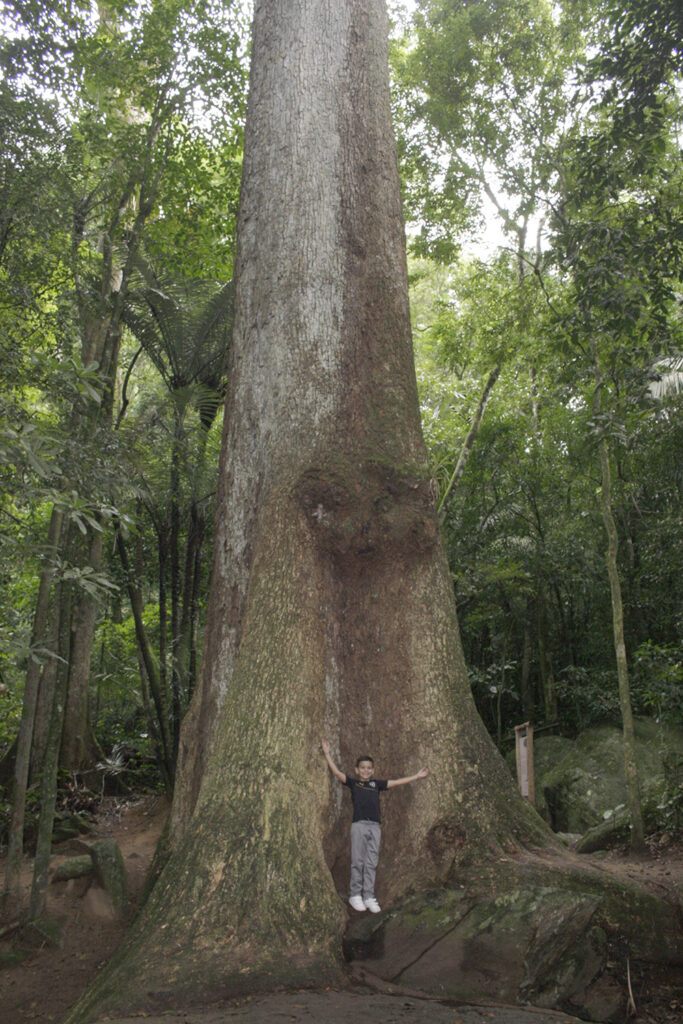 Guia Completo da Fazenda do Secretário em Vassouras