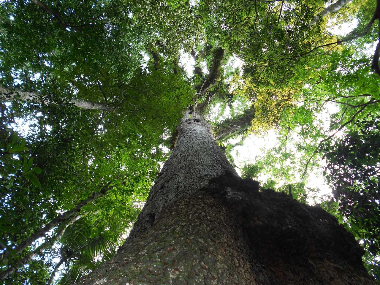 Conheça o Mirante Imperial: Vista Panorâmica de Vassouras