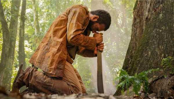A Importância da Preservação da Mata Atlântica em Vassouras