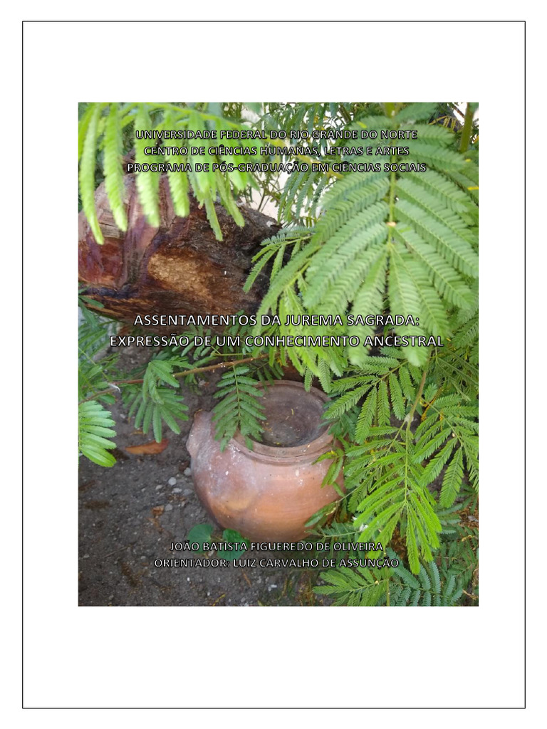 Jurema Sagrada