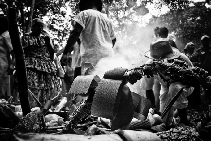 1. A História da Jurema Sagrada: Das Raízes Indígenas à Reconhecimento Cultural.
2. Os Encantados da Jurema: Quem são e como são cultuados?
3. O Ritual do Vinho da Jurema: Preparo e Significado Espiritual.
4. Jurema Sagrada como Patrimônio Imaterial: A Luta contra o Racismo Religioso.
5. Elementos Essenciais nos Rituais da Jurema Sagrada.