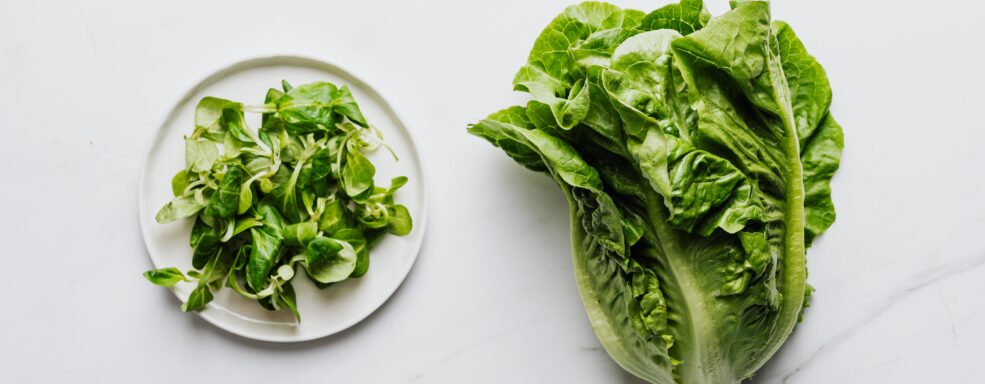 Os Mitos e Verdades sobre a Vitamina K2 e sua Importância no Organismo