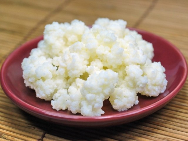 kefir o que é e como cuidar