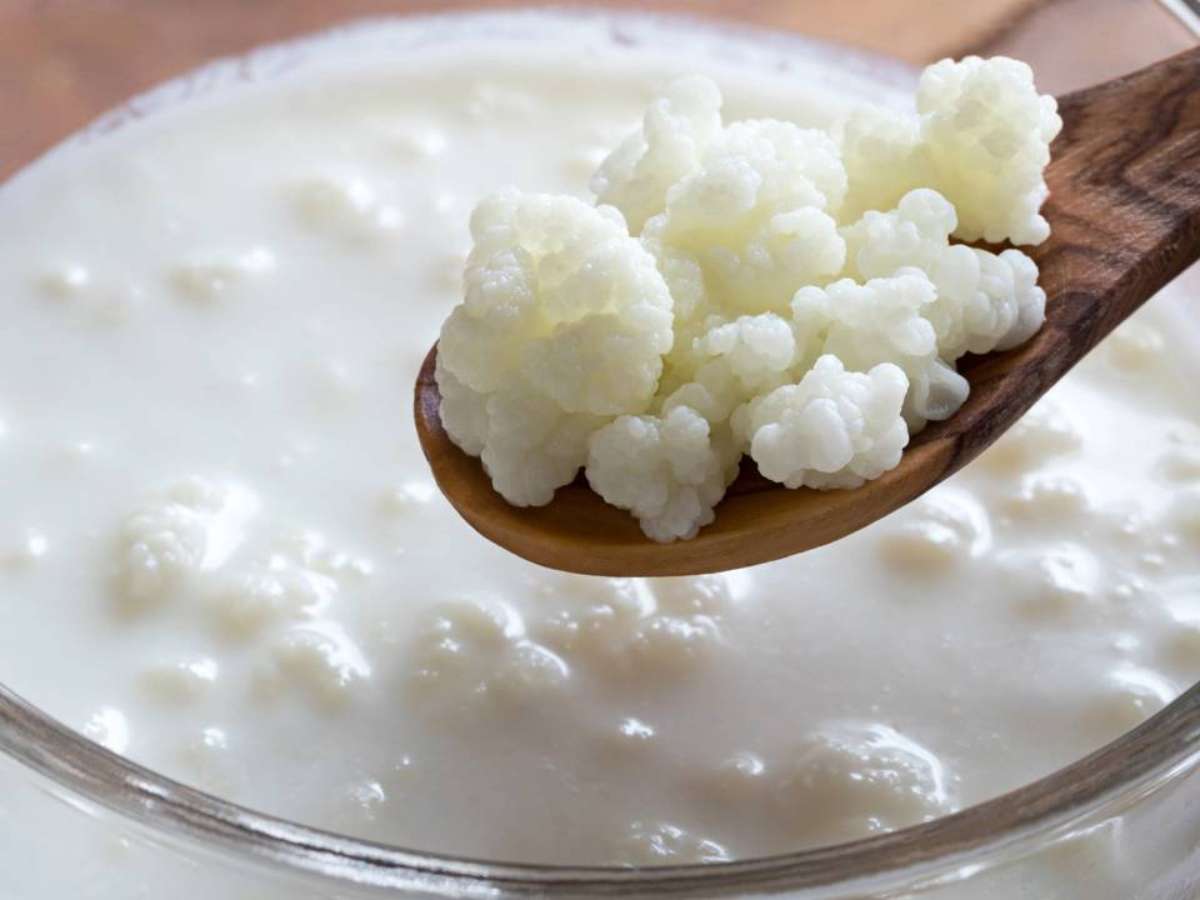 Os Benefícios Surpreendentes do Kefir para a Imunidade