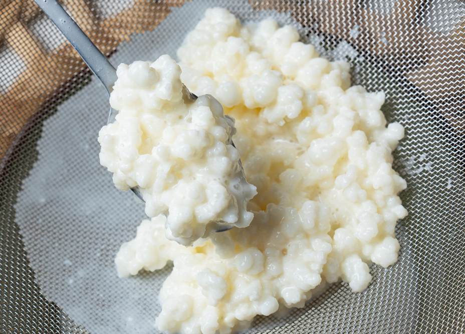 Kefir de Água vs. Kefir de Leite: Qual a Melhor Escolha para Você?
