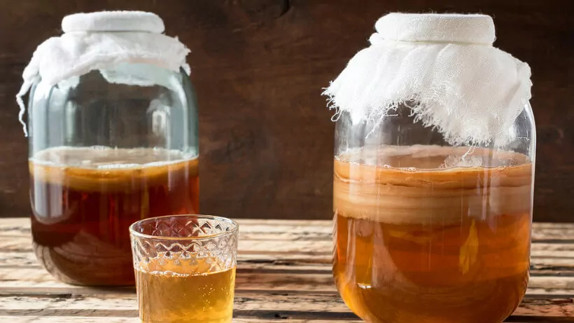 Onde Comprar SCOBY para Kombucha