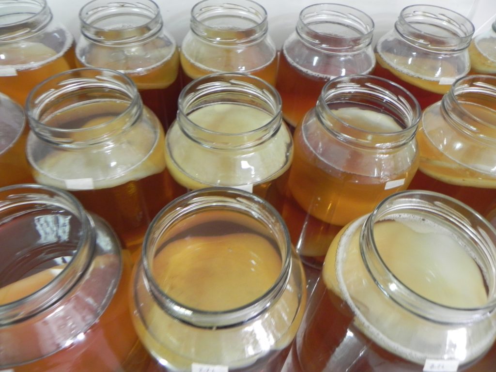 Receitas Criativas com Kombucha