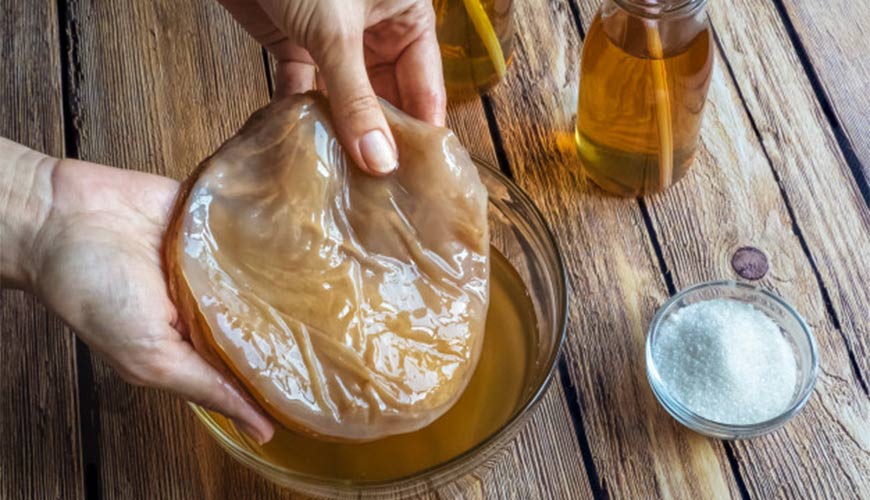 kombucha para que serve