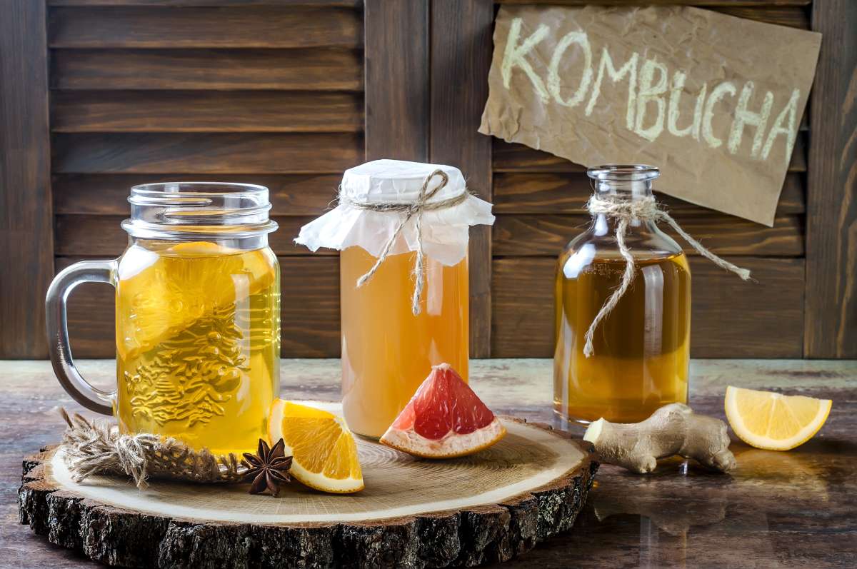 Onde Comprar SCOBY para Kombucha