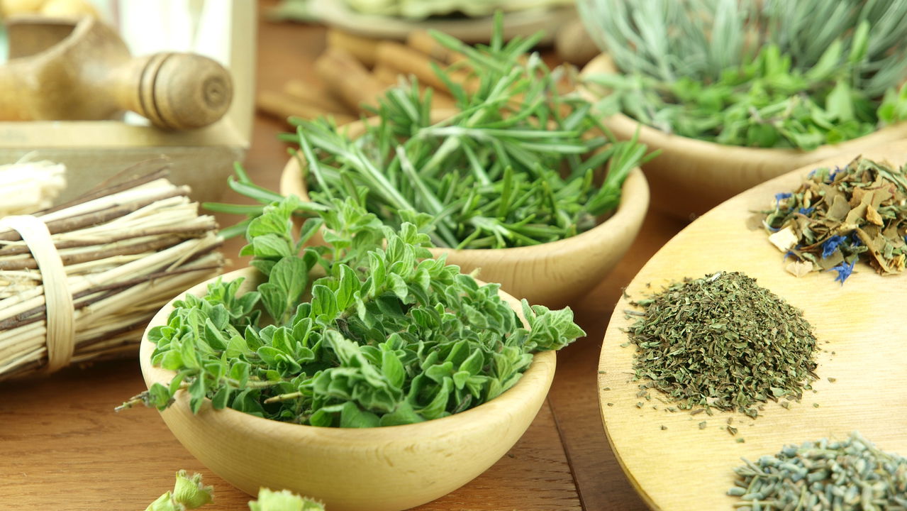 Como cultivar suas próprias ervas em casa