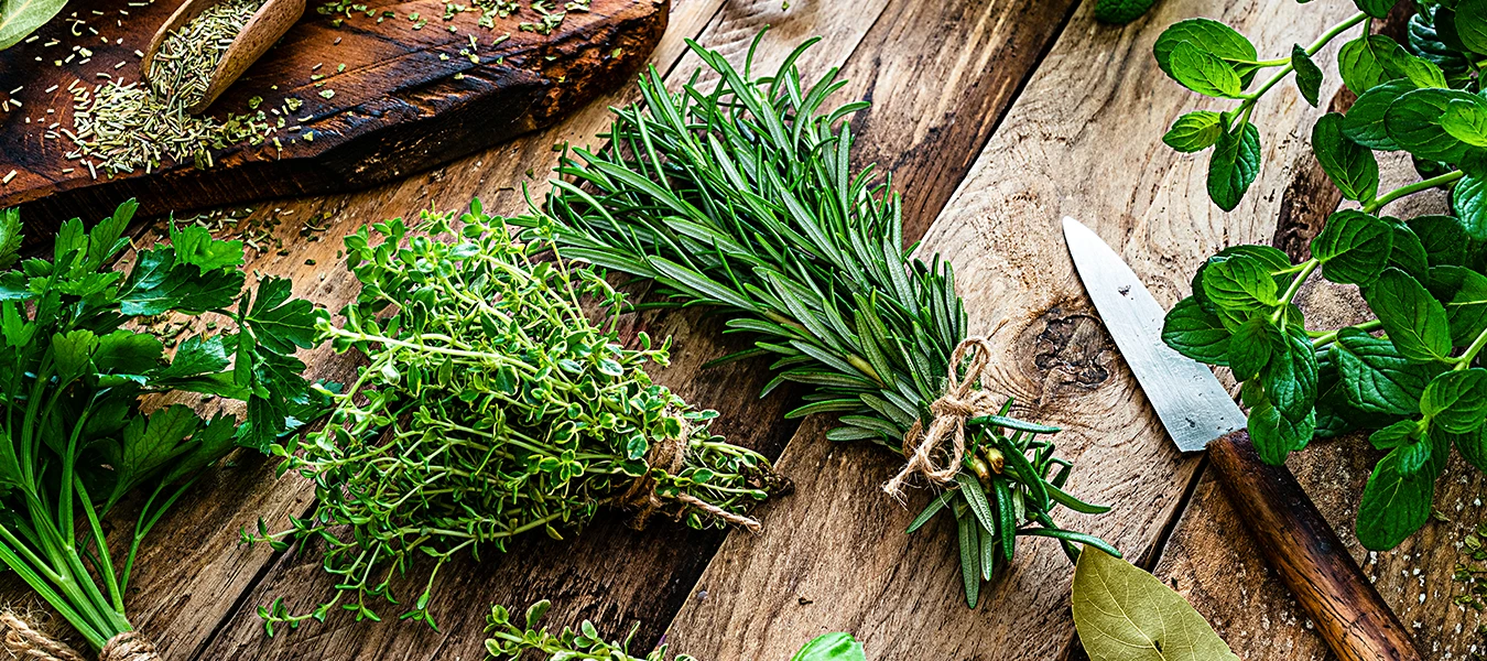 Guia completo: Armazenamento de ervas aromáticas por tipo