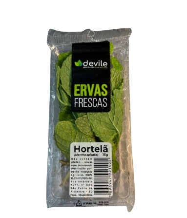 Receitas com ervas frescas: 5 ideias rápidas