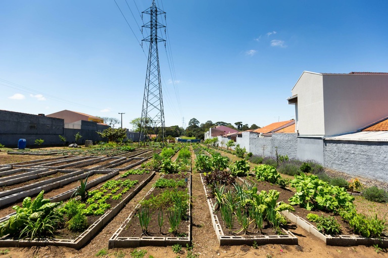 Benefícios da agricultura urbana para a comunidade