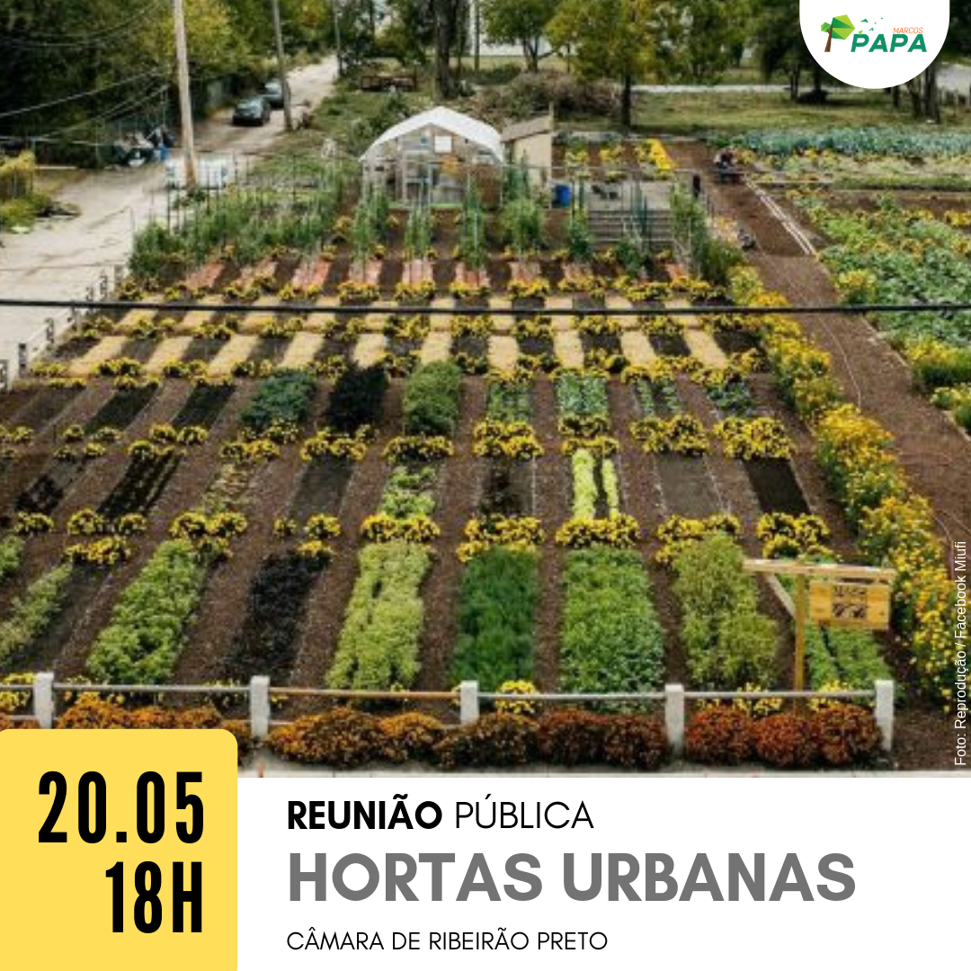 Guia completo de compostagem para hortas urbanas