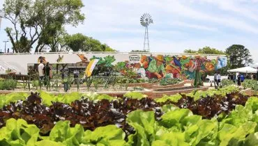 Projetos de hortas urbanas inspiradores pelo Brasil