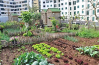 legislação para hortas urbanas