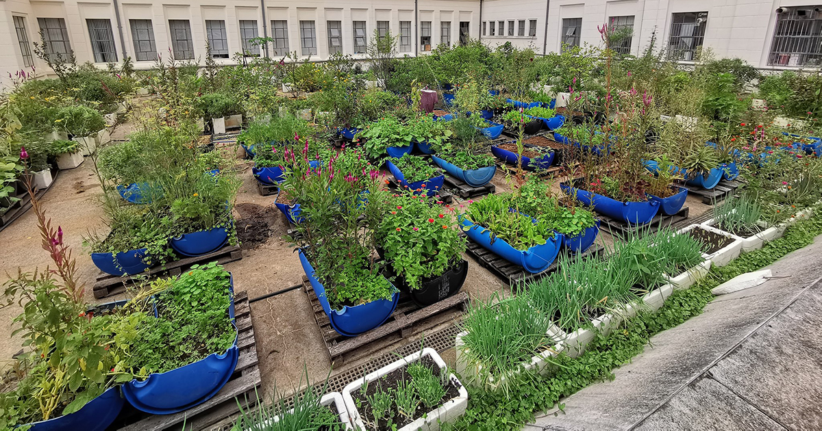 Benefícios da agricultura urbana para a comunidade