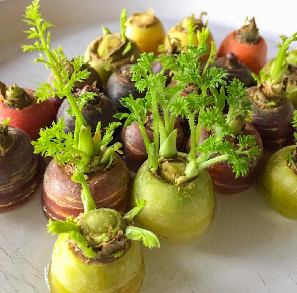 Como montar um sistema hidropônico simples em casa