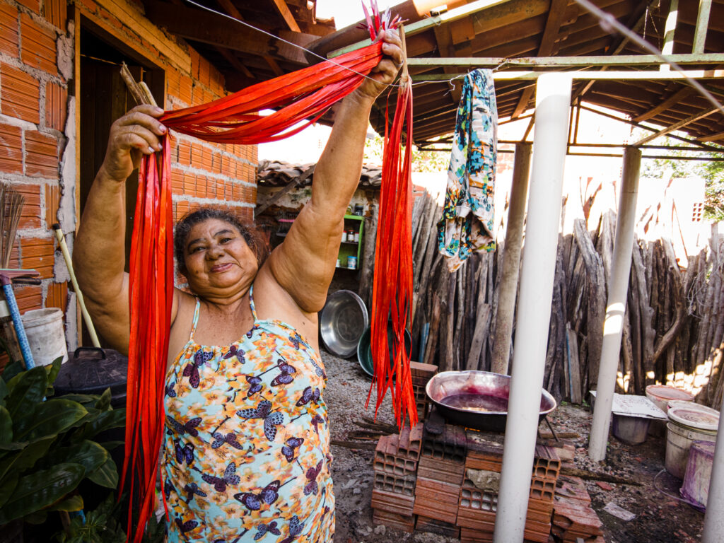 Carnaúba: Da Cera ao Artesanato