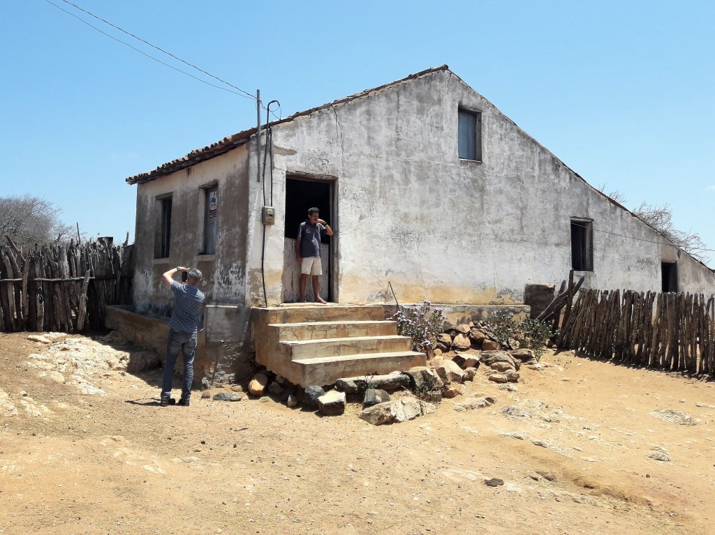 Tudo Sobre a 'Árvore da Vida'