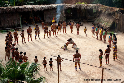 Tudo Sobre a 'Árvore da Vida'