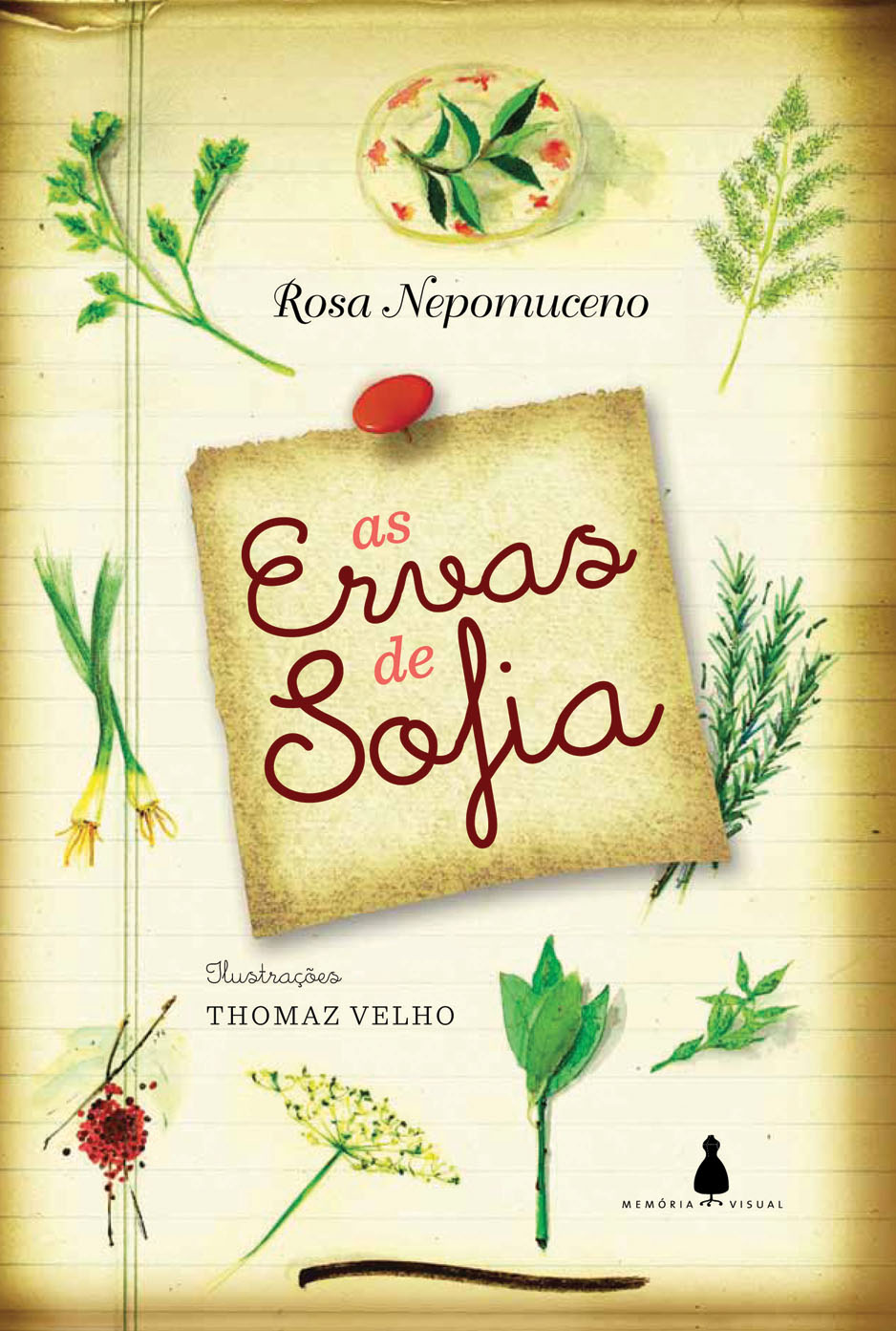 Guia de armazenamento de ervas secas para manter o sabor