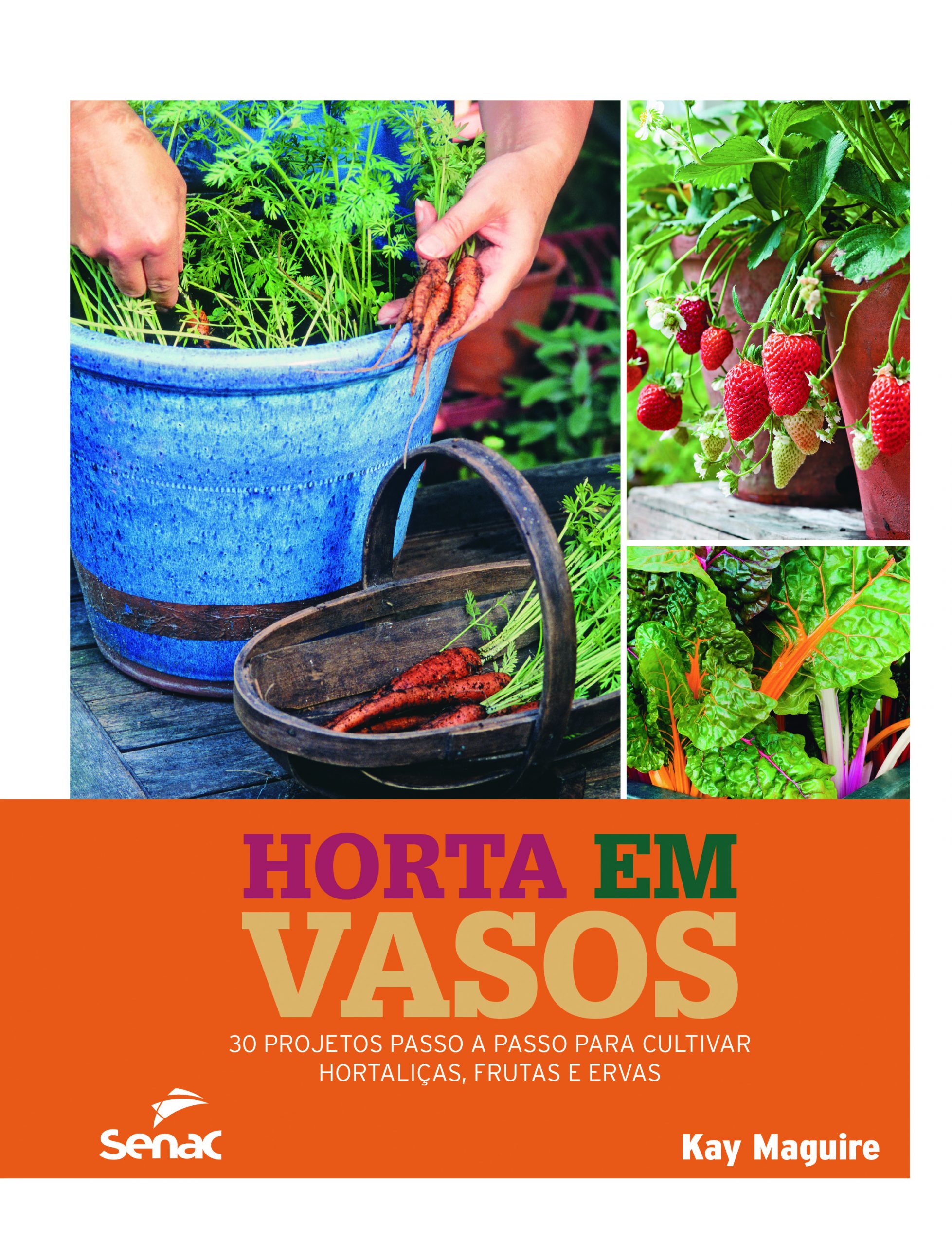 Benefícios do alecrim para a saúde: um guia completo