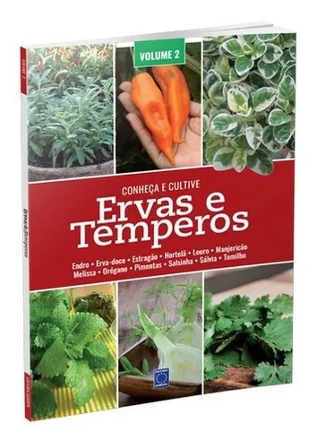 Como cultivar manjericão em vaso: guia passo a passo