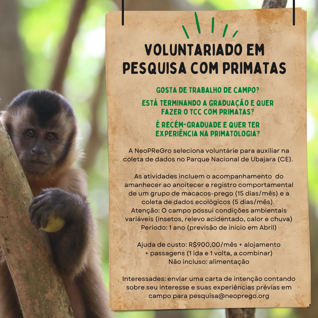 3. A Importância da Dispersão de Sementes por Primatas na Mata Atlântica