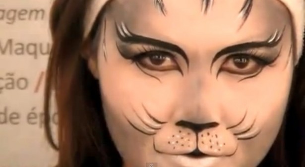 maquiagem de gato