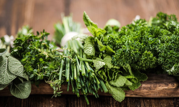 Receitas fáceis com combinações de ervas