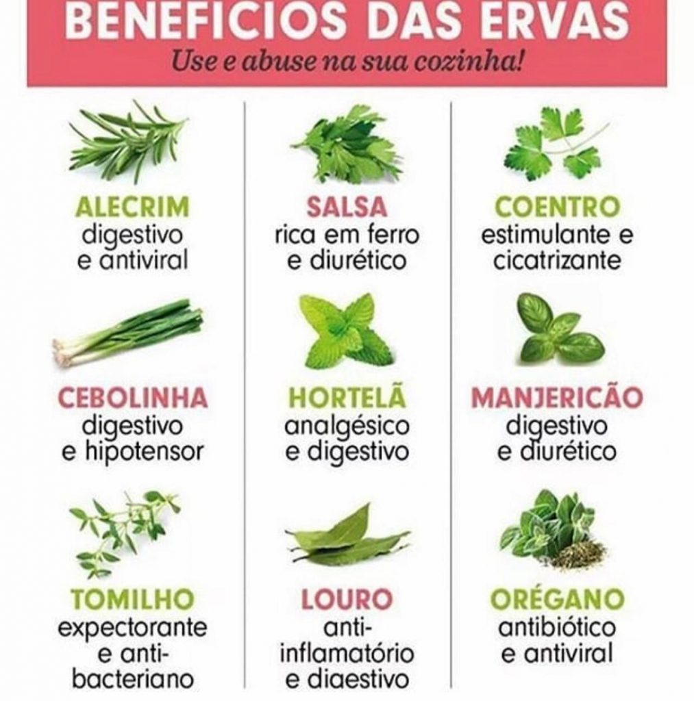 Receitas fáceis com combinações de ervas