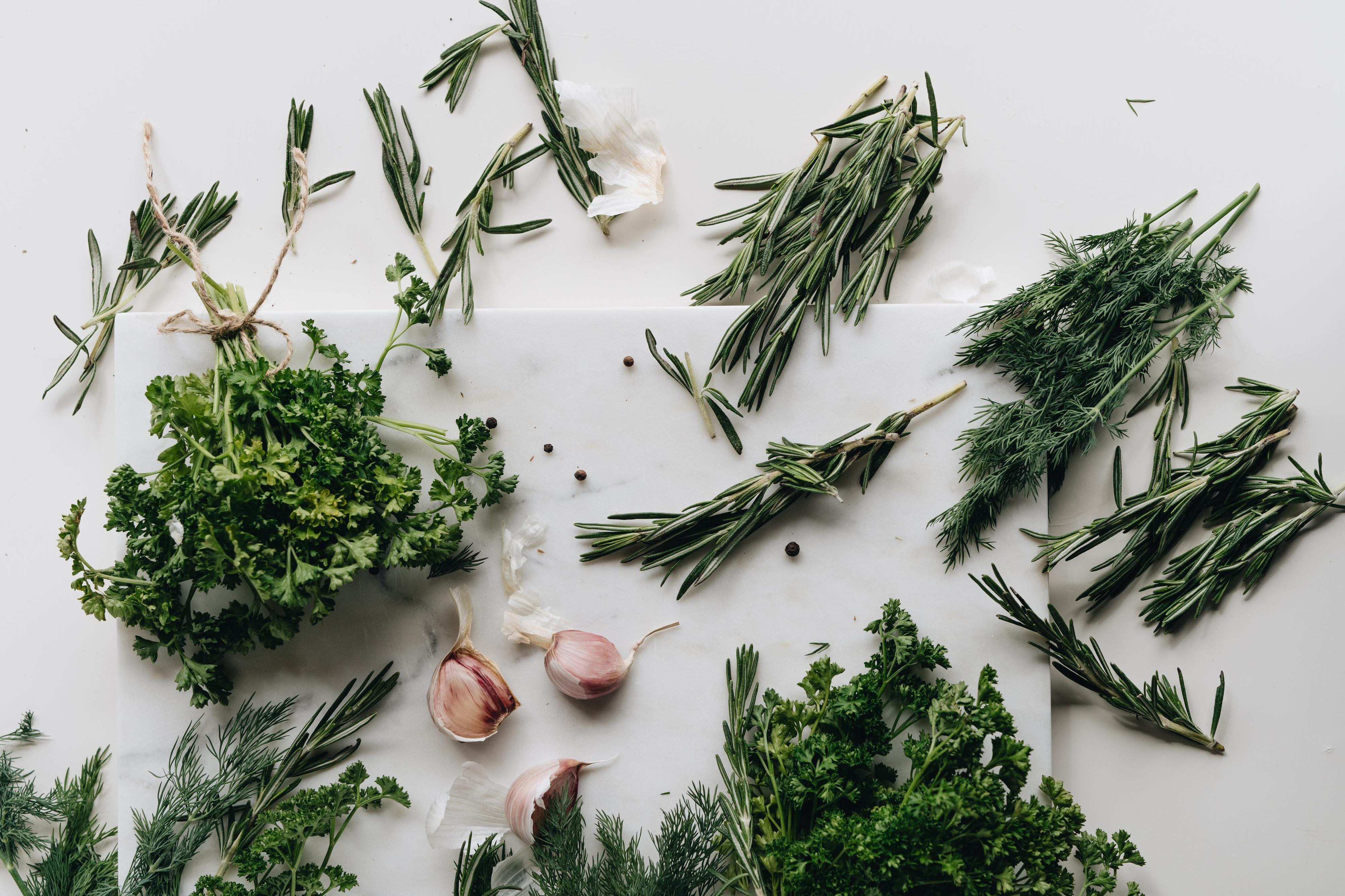 Cuidados no cultivo de ervas aromáticas