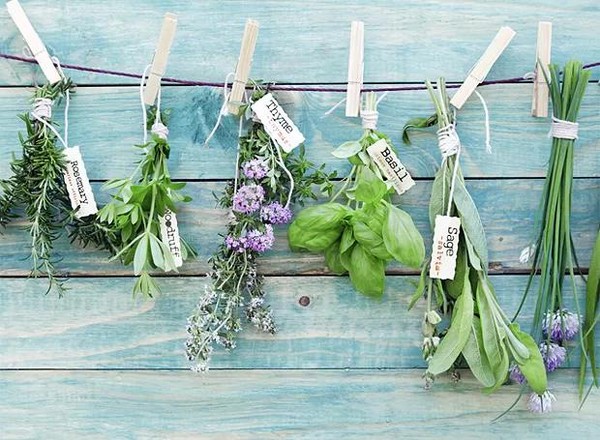 Benefícios dos chás de ervas para a saúde