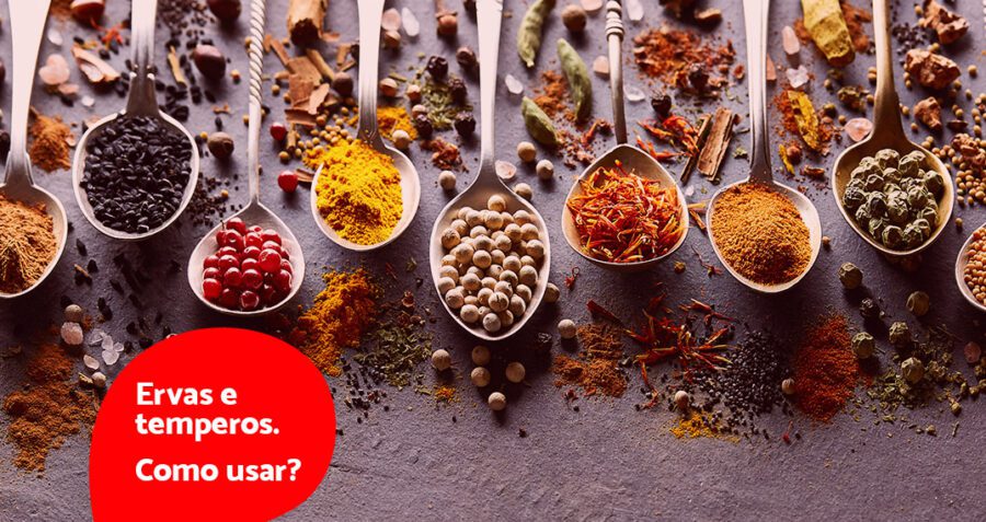 Como criar uma horta de temperos em vasos