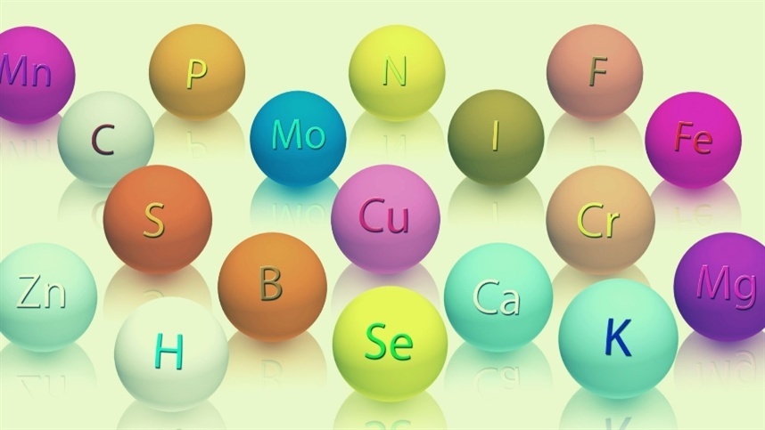 Como identificar deficiência de Nitrogênio nas folhas