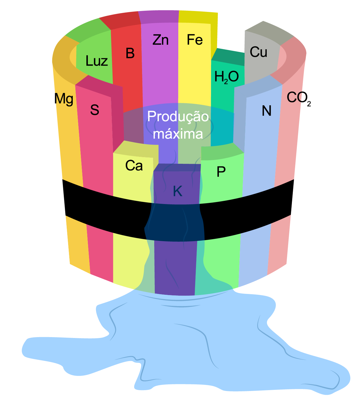 Os 5 sinais de falta de Fósforo em sua horta